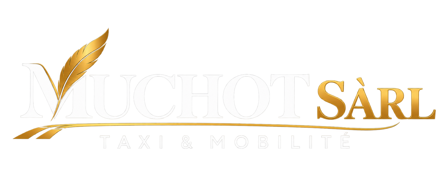 Muchot Sàrl — Taxi & Mobilité